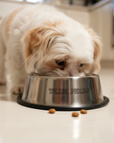 Team Perro Stainless Steel Small Pet Bowl