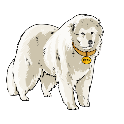 Great Pyrenees Dog Character Team Perro Collection (Peak)