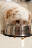 Team Perro Stainless Steel Small Pet Bowl
